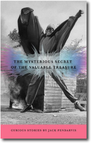 The Mysterious Secret of the Valuable Treasure by Jack Pendarvis