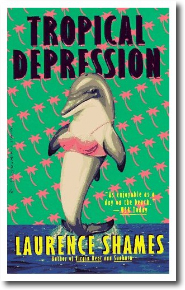 Tropical Depression by Laurence Shames