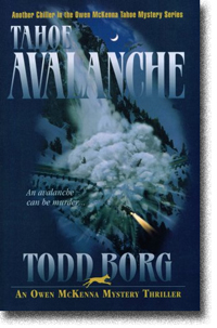 Tahoe Avalanche by Todd Borg