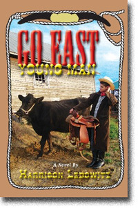 Go East, Young Man by Harrison Lebowitz