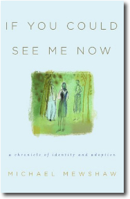 If You Could See Me Now by Michael Mewshaw