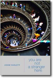 You Are Not a Stranger Here by Adam Haslett